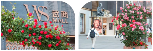 k8.com(中国区)官方网站