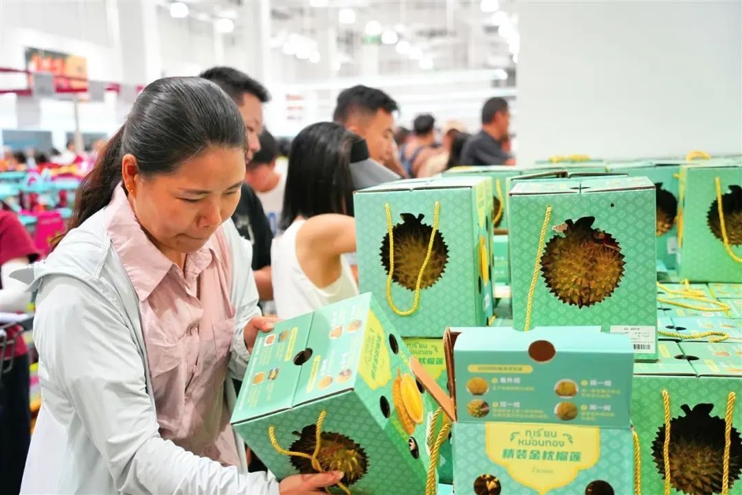 k8.com(中国区)官方网站