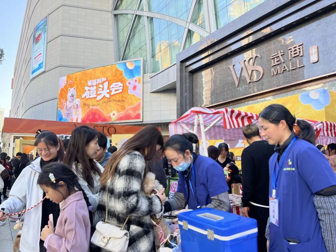 k8.com(中国区)官方网站