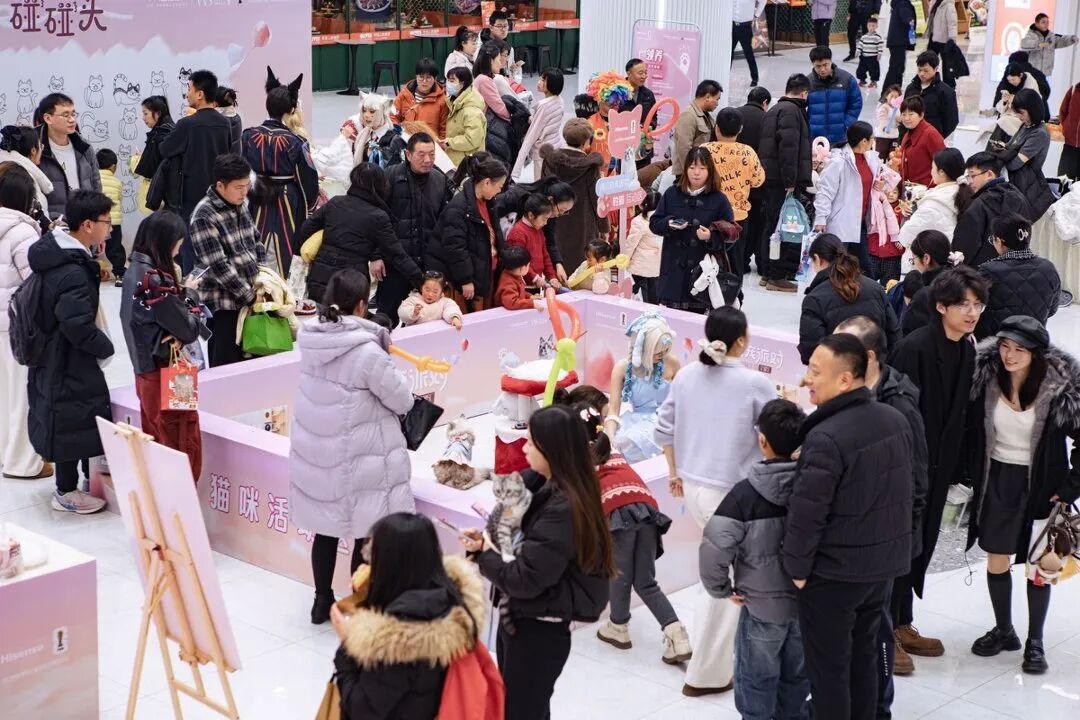 k8.com(中国区)官方网站